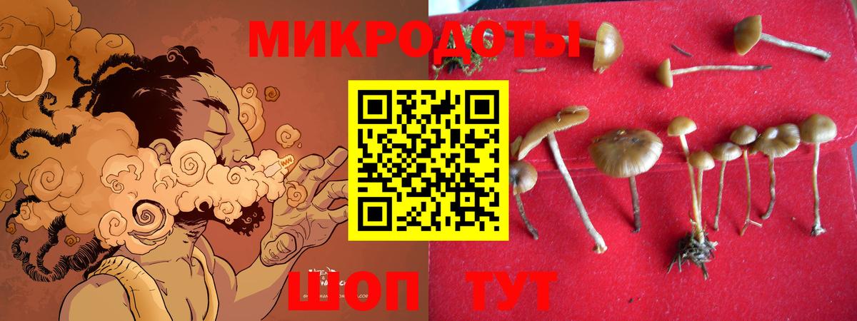 Псилоцибиновые грибы ЛСД  где найти наркотики  Красноярск  Вход с VPN 