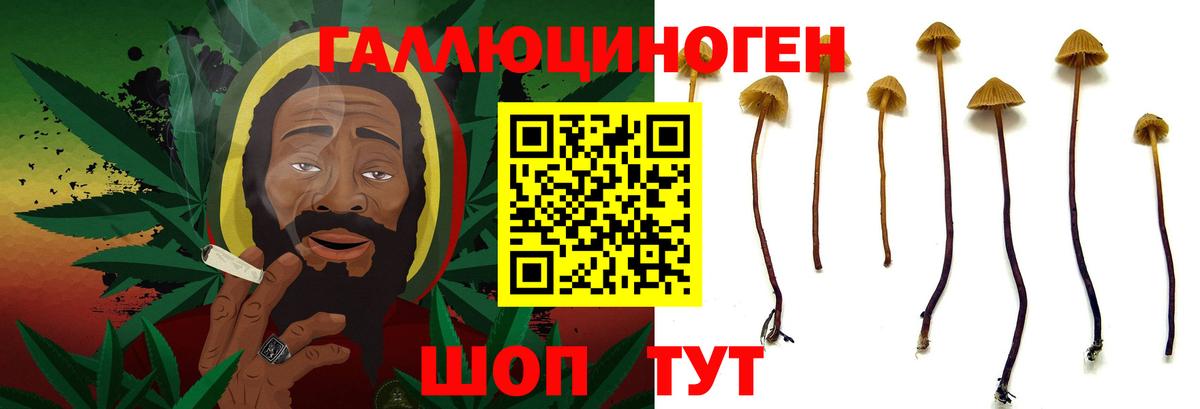 Кодеин  Alpha-PVP СК   Красноярск  Вход с VPN  ГАШИШ  Каннабис  Cocaine  Мефедрон кристаллы 
